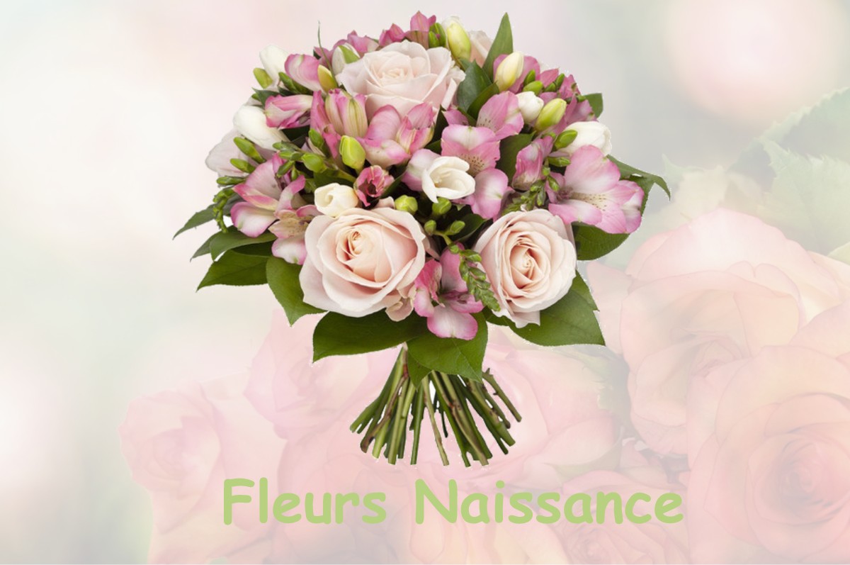 fleurs naissance CASTANET-TOLOSAN