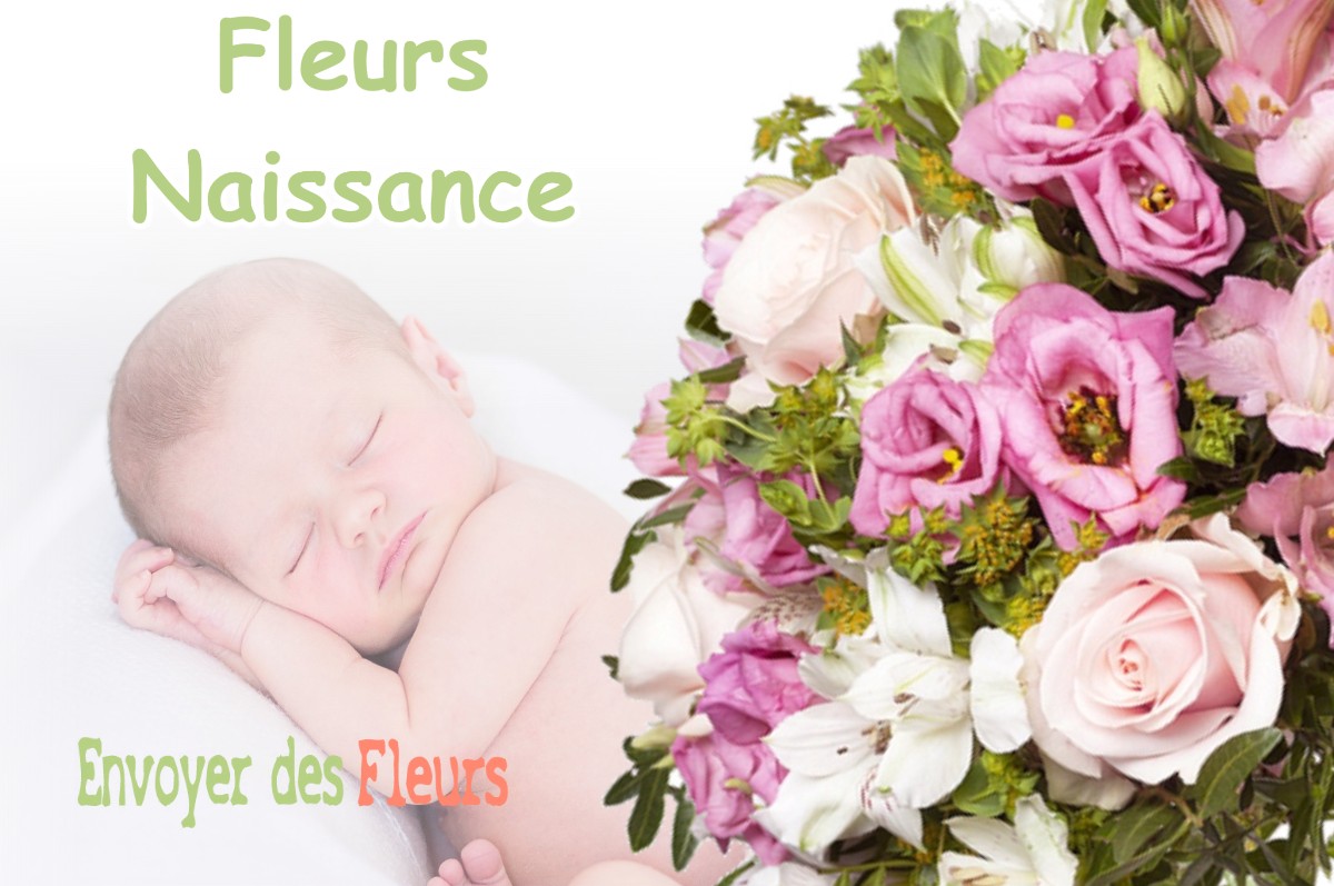 lIVRAISON FLEURS NAISSANCE à CASTANET-TOLOSAN